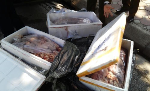 Bắt xe chở hơn 600 kg nội tạng thối